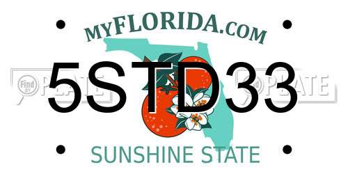 5STD33 Florida License Plate
