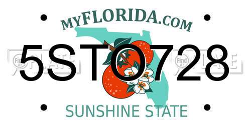 5STO728 Florida License Plate