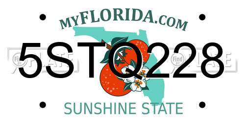 5STQ228 Florida License Plate