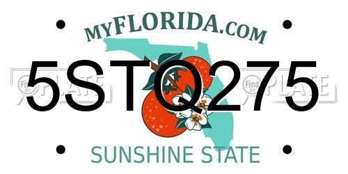 5STQ275 Florida License Plate