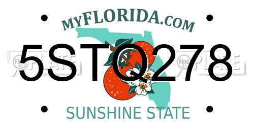 5STQ278 Florida License Plate