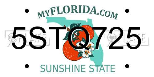 5STQ725 Florida License Plate