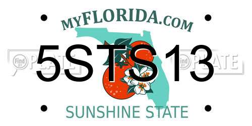 5STS13 Florida License Plate