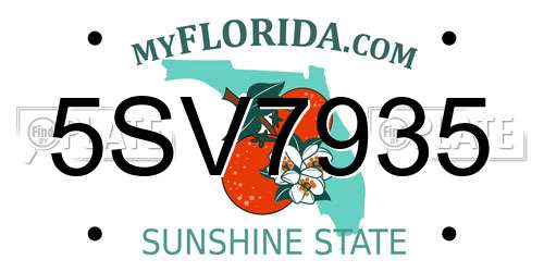 5SV7935 Florida License Plate