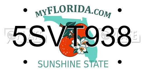 5SVT938 Florida License Plate