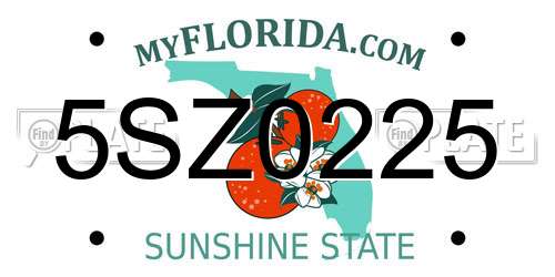 5SZ0225 Florida License Plate