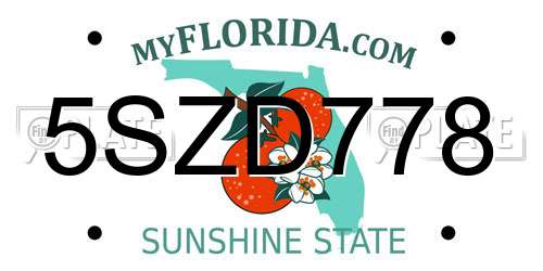 5SZD778 Florida License Plate