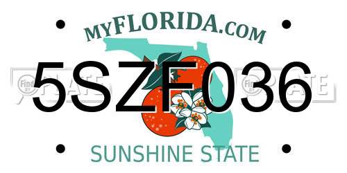 5SZF036 Florida License Plate