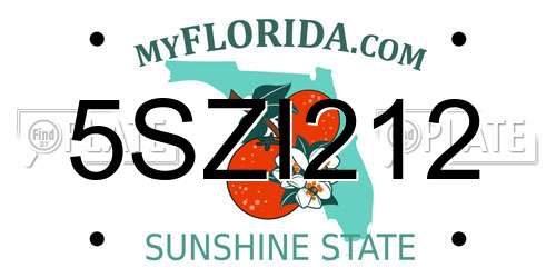 5SZI212 Florida License Plate