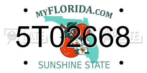 5T02668 Florida License Plate