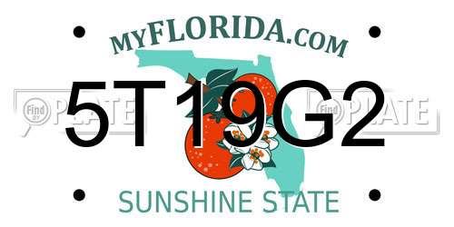 5T19G2 Florida License Plate