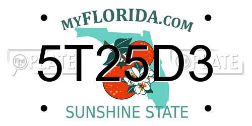 5T25D3 Florida License Plate
