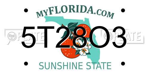 5T28O3 Florida License Plate