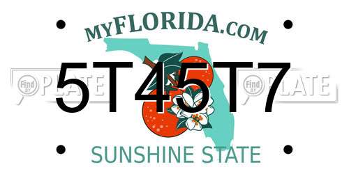 5T45T7 Florida License Plate