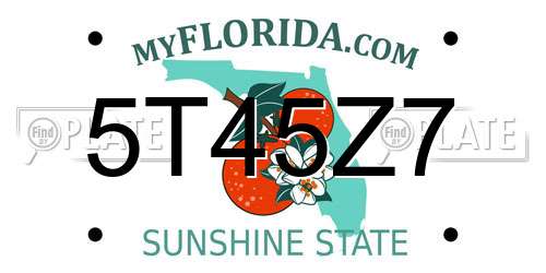 5T45Z7 Florida License Plate