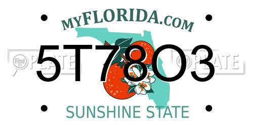 5T78O3 Florida License Plate