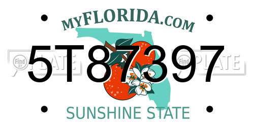 5T87397 Florida License Plate