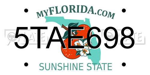 5TAE698 Florida License Plate
