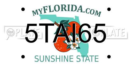 5TAI65 Florida License Plate