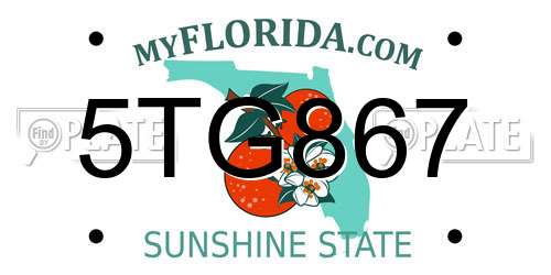 5TG867 Florida License Plate