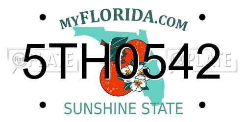5TH0542 Florida License Plate