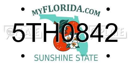 5TH0842 Florida License Plate