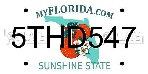 5THD547 Florida License Plate