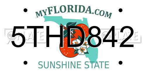 5THD842 Florida License Plate