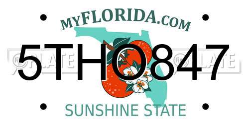 5THO847 Florida License Plate
