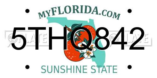 5THQ842 Florida License Plate