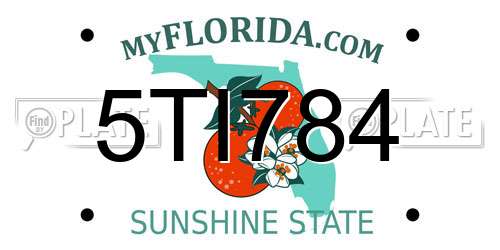 5TI784 Florida License Plate