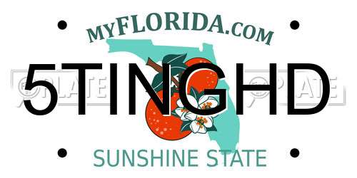 5TINGHD Florida License Plate