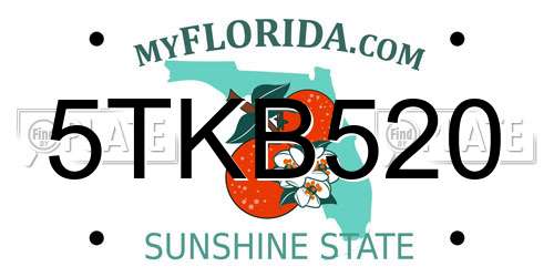5TKB520 Florida License Plate