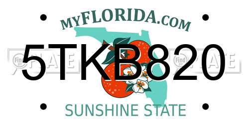 5TKB820 Florida License Plate