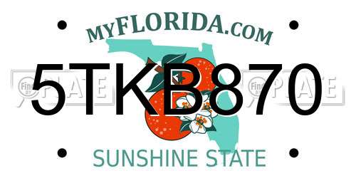 5TKB870 Florida License Plate