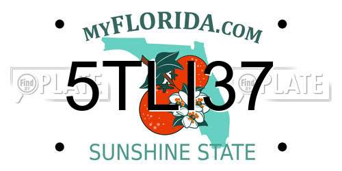 5TLI37 Florida License Plate