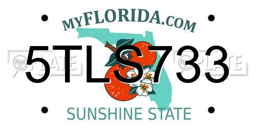 5TLS733 Florida License Plate