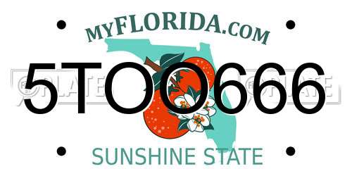 5TOO666 Florida License Plate