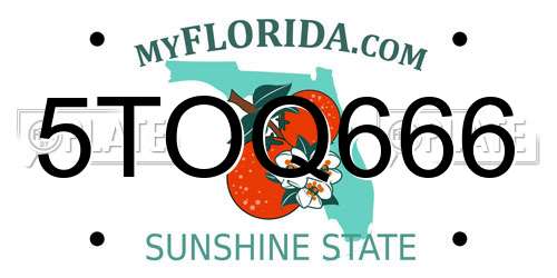 5TOQ666 Florida License Plate
