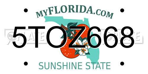 5TOZ668 Florida License Plate