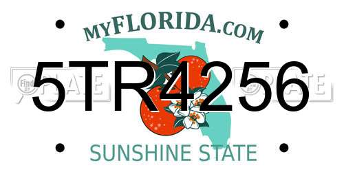 5TR4256 Florida License Plate