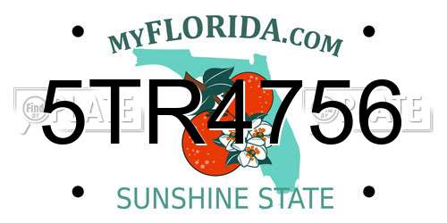 5TR4756 Florida License Plate
