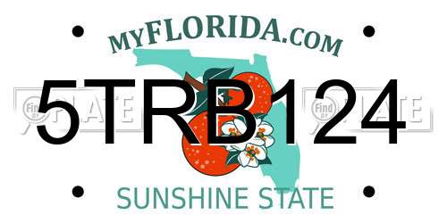 5TRB124 Florida License Plate