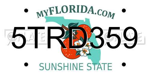 5TRD359 Florida License Plate