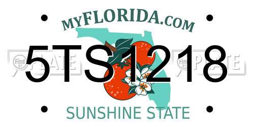5TS1218 Florida License Plate
