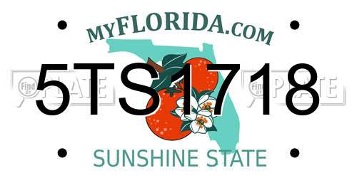 5TS1718 Florida License Plate