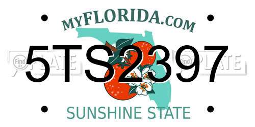 5TS2397 Florida License Plate