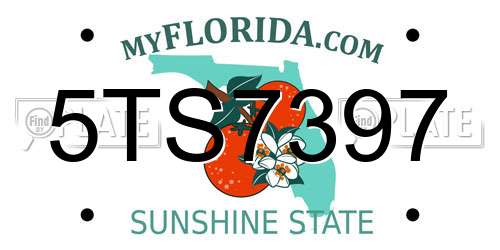 5TS7397 Florida License Plate