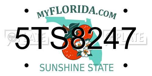 5TS8247 Florida License Plate