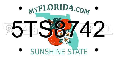 5TS8742 Florida License Plate